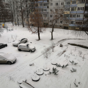 За ночь Харьков замело снегом: осадки ожидаются всю неделю (фото)